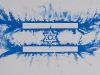 Sulla bandiera israeliana,  olio su tela,  cm. 70x100,  2009