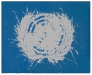 Sulla bandiera dell'O.N.U.,  olio su tela,  cm. 70x100,  2009