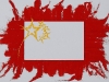  Sulla bandiera cinese,  olio su tela,  cm. 70x100,  2009