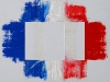  Sulla bandiera francese,  olio su tela,  cm. 70x100,  2009