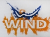 Wind,  olio su tela,  cm. 20x30,  2008
